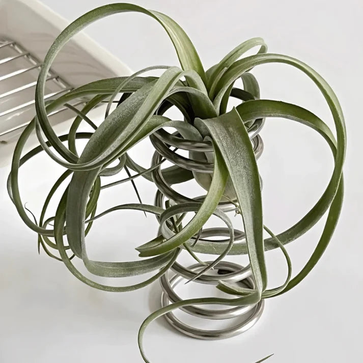 Organizador Espiral de Metal